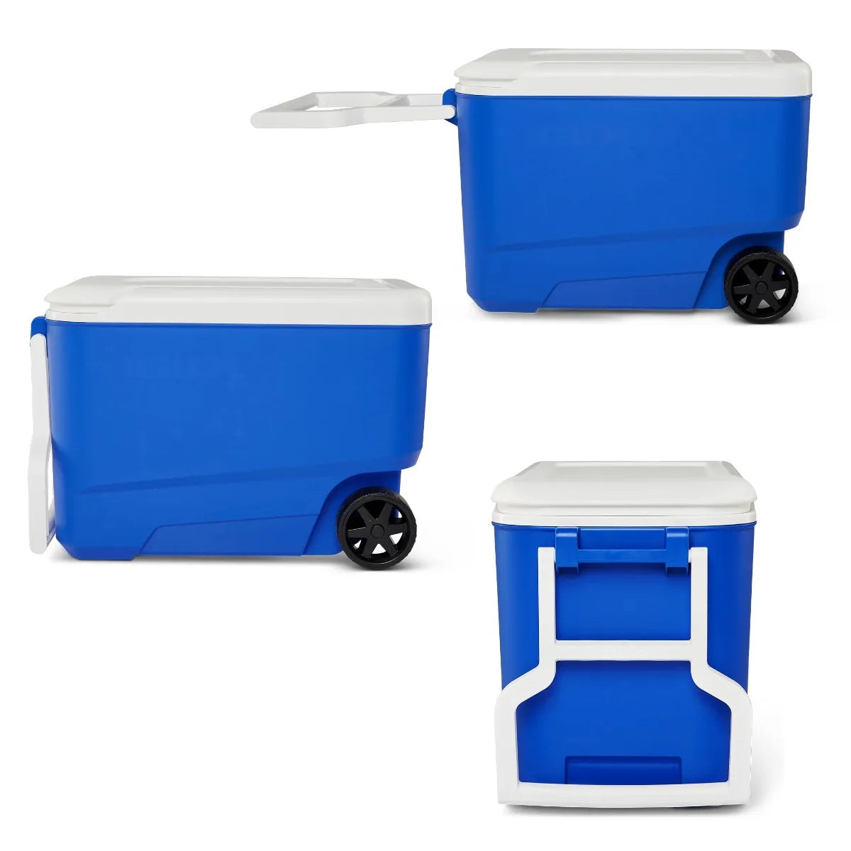 Blue Hard-Sided Wheeled Rotomolded Cooler – Camping & Outdoor