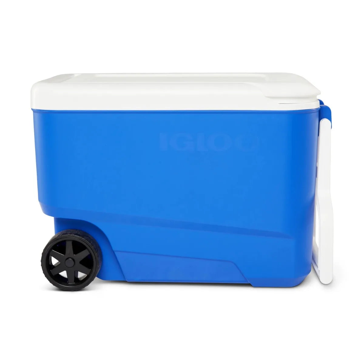 Blue Hard-Sided Wheeled Rotomolded Cooler – Camping & Outdoor